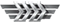 Player rank badge